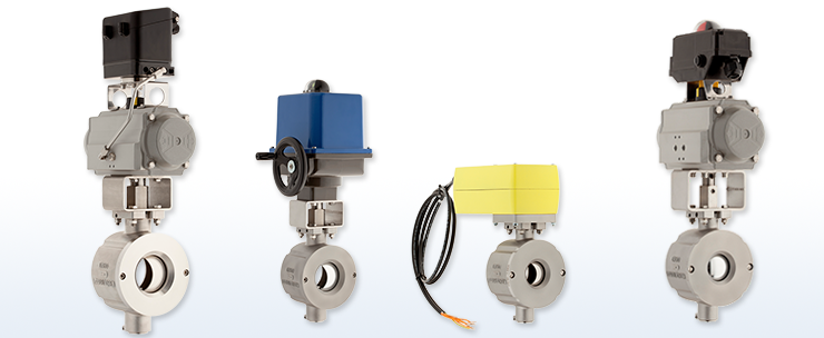 Ball sector valves